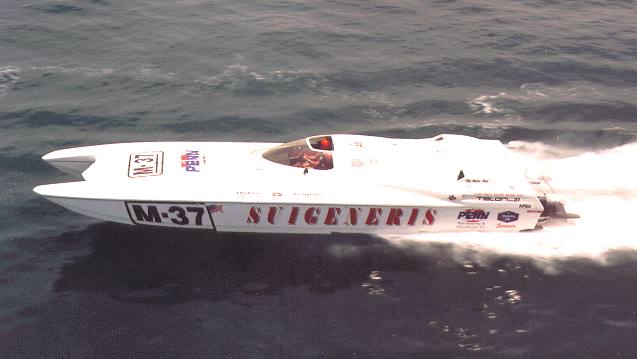 Suigeneris