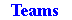 Teams Icon